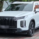 sewa-mobil-palisade