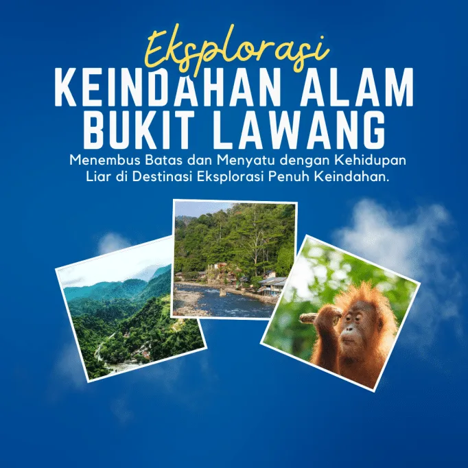 keindahan-alam-bukit-lawang